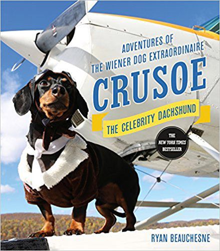 Crusoe
